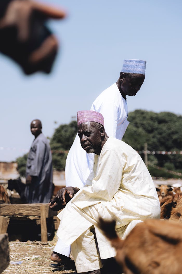 Three men in traditional attire at an outdoor market with livestock.